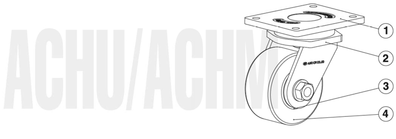 achu-2.jpg